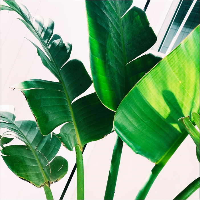 Mis-vacaciones-verano-2017